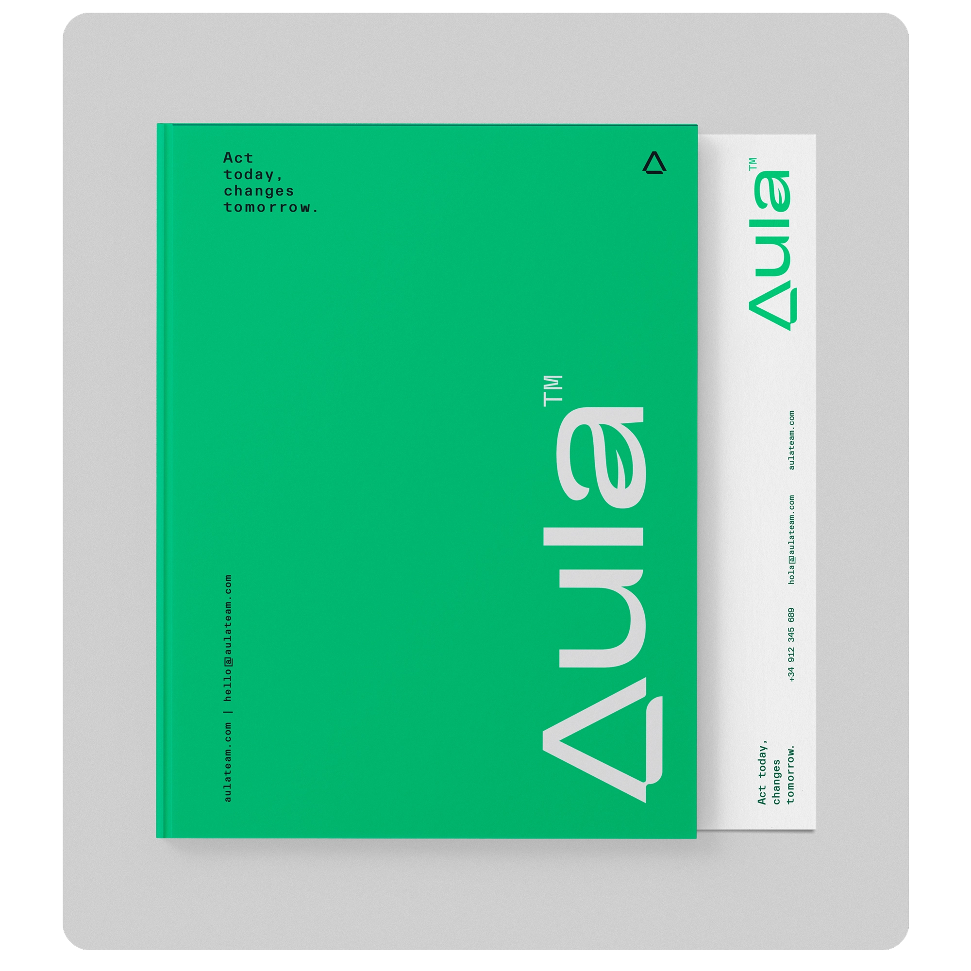 aula stationary